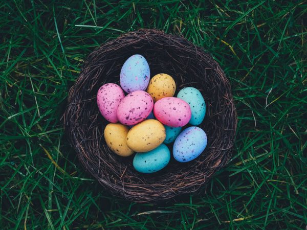 Frohe Ostern wünscht Bäckerei Haferkorn