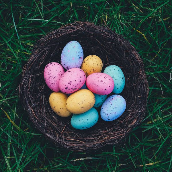 Frohe Ostern wünscht Bäckerei Haferkorn